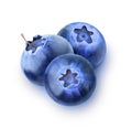 Three isolated blueberries Royalty Free Stock Photo