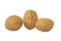 Three isolated walnuts on a white background