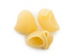 Three of italian macaroni shells, selective focus. Isolated Royalty Free Stock Photo