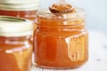Three Jars of Homemade Cantaloupe Jam Royalty Free Stock Photo