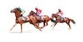 Jockey horse racing isolated on white background Royalty Free Stock Photo