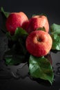 Fresh apples with drops of water on a black background Royalty Free Stock Photo