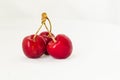 Three juicy berries of a red cherry on a white fabric background Royalty Free Stock Photo