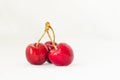 Three juicy berries of a red cherry on a white fabric background. Few red juicy cherries with stems Royalty Free Stock Photo