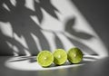Three juicy lime halves artfully arranged with dramatic leaf shadows and bright light creating a fresh citrus still life scene Royalty Free Stock Photo