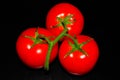 Three juicy red tomatoes