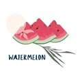 Three juicy slices of fresh bright red watermelon with seeds