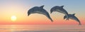 Three jumping dolphins at sunset Royalty Free Stock Photo