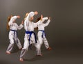 Three karate girls Royalty Free Stock Photo