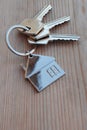 Three keys in key chain