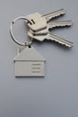 Three keys in key chain