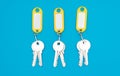 Three keys pair on yellow keychains blue background Royalty Free Stock Photo