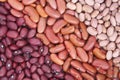 Three kind beans Royalty Free Stock Photo
