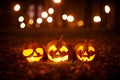 Three Kind Halloween Pumpkins in the park Royalty Free Stock Photo