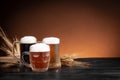 Three kinds of cold beer in jugs and wheat spikes on  wood base Royalty Free Stock Photo