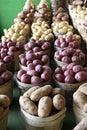 Three Kinds of Potatoes Royalty Free Stock Photo