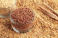 Three kinds of wheat grains in the glass bowls.Selected focus of buckwheat Royalty Free Stock Photo