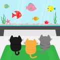 Three kittens on carpet rug looking to big aquarium with fish set. Little cat family.