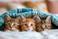 Three kittens laying together one of which is looking directly at the camera. Generative AI Royalty Free Stock Photo