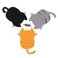 Three kittens looking at mouse. Back and tail. Top aerial view. Cat set. Funny kawaii baby kitty animal family. Cute cartoon pet c