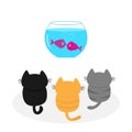 Three kittens looking to aquarium with fish set. Little cat family.