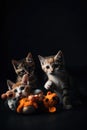 Three kittens are playing with a stuffed animal. Generative AI image.