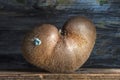 Three Kiwis Growing Together Heartshaped