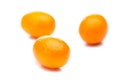 Three kumquats Fortunella isolated on white background