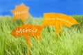 Three Labels With French Merci Which Means Thank You And Blue Sky Royalty Free Stock Photo