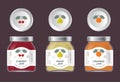 Three labels fruit jam. Cherry, pear, orange jam labels and packages. The flat original illustrat