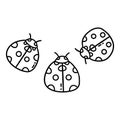 Three ladybugs. Cute insects. Vector doodle hand drawn Royalty Free Stock Photo