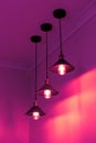 Three lamps with vintage incandescent bulbs in pink light Royalty Free Stock Photo