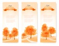 Three landscape autumn banners. Royalty Free Stock Photo