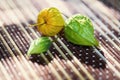 Three lanterns of Physalis Peruviana