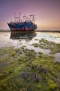 Three large abandoned ships in low tide Royalty Free Stock Photo