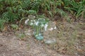 Three large empty glass jars stand on gray ground