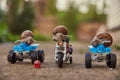 Three large garden snails sit on a toy motorcycle and quad bikes . Royalty Free Stock Photo