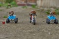 Three large garden snails sit on a toy motorcycle and quad bikes . Royalty Free Stock Photo