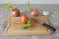 three large onions with green leaves and a knife Royalty Free Stock Photo