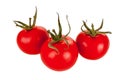 Three large red ripe tomatoes on a branch isolated on a white background Royalty Free Stock Photo