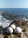 Three large round white stone eggs lie on the coastal concrete boulder breakwater
