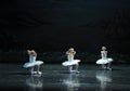 Three large Swan-The Swan Lakeside-ballet Swan Lake