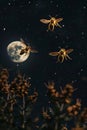 Three large wasps fly near the night moon