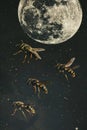 Three large wasps fly near the night moon