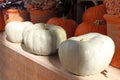 Ghost Pumpkins