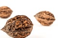 three large wild walnuts on white background. focus in the foreground