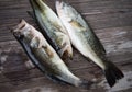 Three largemouth bass on a gray cuttingboard