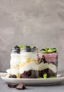 Three layered desserts with vanilla and chocolate cake, whipped cream and blackberries Royalty Free Stock Photo