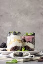 Three layered desserts with vanilla and chocolate cake, whipped cream and blackberries Royalty Free Stock Photo