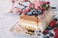 Three layers ice cream cake Royalty Free Stock Photo